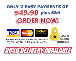 Vegetable Juice in Seconds - Order Now